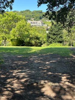 Ventnor botanic gardens