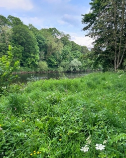 River Eden Carlisle