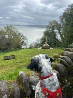 on our way out of clovelly